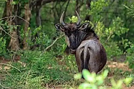 Sykaaa casino 80922d